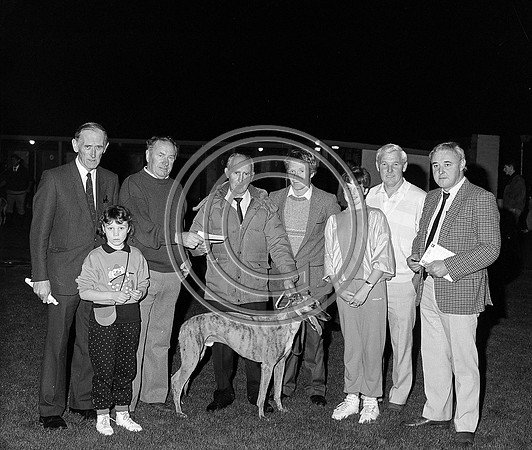 Greyhound track Tralee 1989 (2)