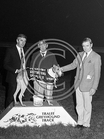 Greyhound track Tralee 1989 (4)