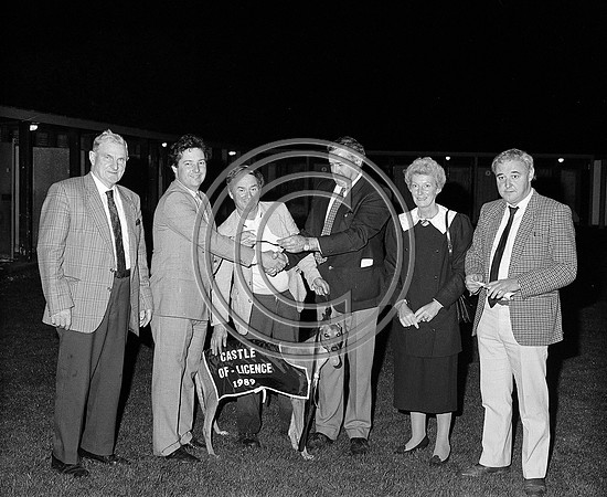 Greyhound track Tralee 1989 (7)