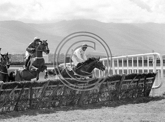 Tralee racetrack 1989 (2)