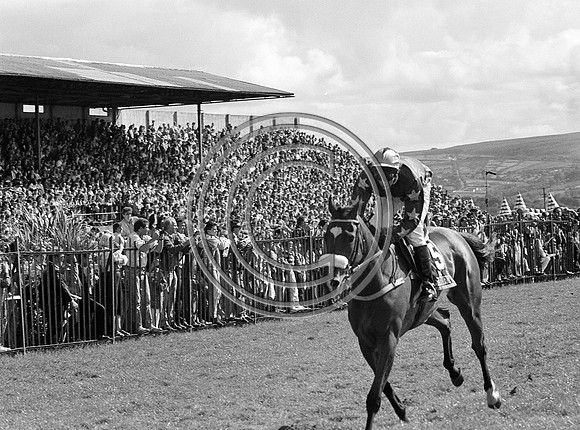 Tralee racetrack 1989 (1)