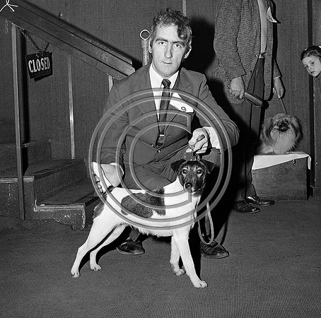 Festival of Kerry dogshow Tralee 1972 (1)