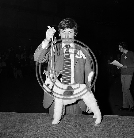 Festival of Kerry dogshow Tralee 1972 (2)
