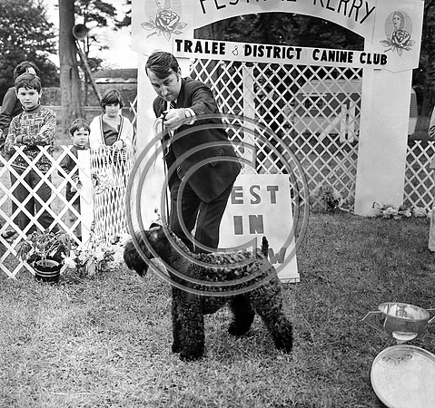Festival of Kerry dogshow Tralee 1972 (3)