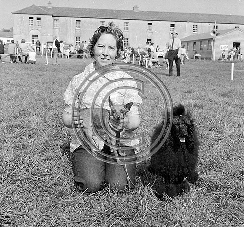 Festival of Kerry dogshow Tralee 1972 (4)
