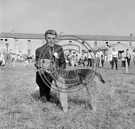 Festival of Kerry dogshow Tralee 1972 (5)