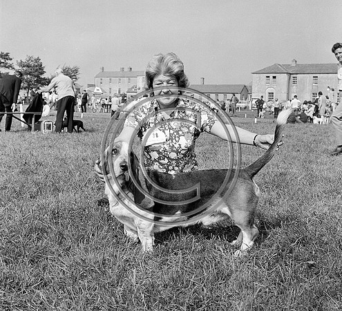 Festival of Kerry dogshow Tralee 1972 (6)