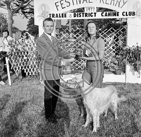 Festival of Kerry dogshow Tralee 1972 (7)