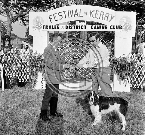 Festival of Kerry dogshow Tralee 1972 (8)