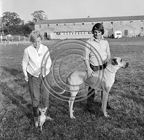 Festival of Kerry dogshow Tralee 1972 (10)