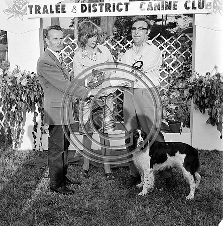 Festival of Kerry dogshow Tralee 1972 (12)