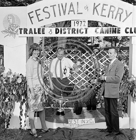 Festival of Kerry dogshow Tralee 1972 (13)