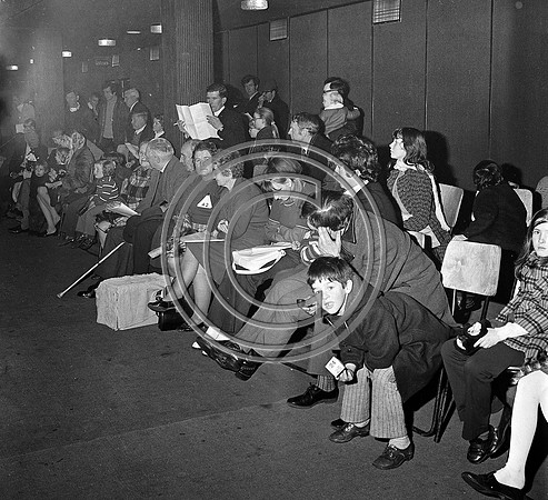 Festival of Kerry dogshow Tralee 1972 (15)