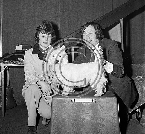 Festival of Kerry dogshow Tralee 1972 (16)