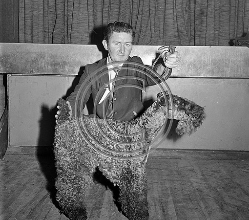 Festival of Kerry dogshow Tralee 1972 (18)