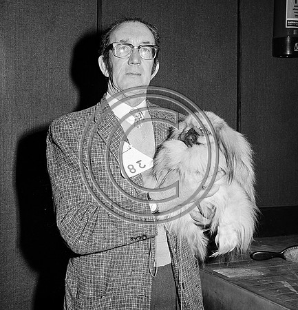 Festival of Kerry dogshow Tralee 1972 (19)