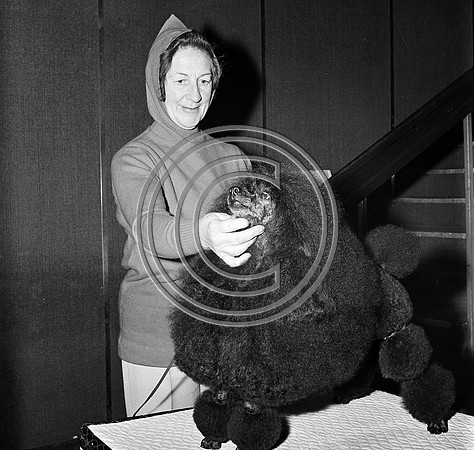 Festival of Kerry dogshow Tralee 1972 (20)